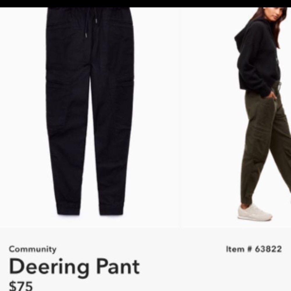 ARITZIA COMMUNITY JOGGERS
